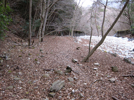 20200110hike (415)